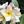 youleaf