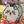 はーず