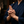 ヒカル｜真実の答えを捉える神魂霊視