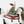 Satoh_c