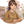 さち｜聞き屋×お話し所
