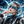AUREA_ASTRALIA