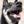 shibashiba coach