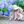 yosa_lihai
