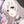 ここのか11