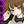 komaru_29