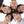 mprinceinc2021