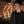 huangdapingye2