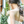 emm_design
