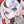 猫宮りず