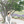 tbt_design 田畑美沙希