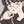 しの・m