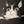ORI…