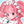 MIMIKOミミコ