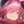 マリモッポイ