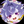 めかぶ　mekabu