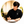 kuroki_coach