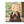 三休さん