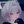 ぺどろっ
