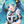 月夜星海