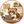 tanuki0000