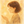 読む脳国語研究室