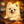 《翻訳動画編集者》ダナ