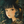 希☆Nozomi☆未来の案内人