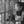 yurie01
