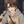 ARASI_0812