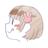 なびちゃん