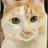 黒猫のマロマユ