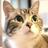 ねこ谷