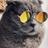 甘猫あまね