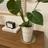 Yui_home