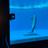 shimon☆