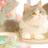 猫丸りんりん