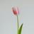 marron_design