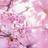 yume1222