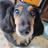 ShunPP