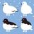 雷鳥さん