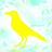 yellowbird co