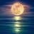 Moon Sounds 月音