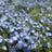 shion_0121_