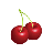 さくらんぼう