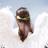 Angel moon