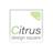 Citrus design square