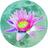 Earth∞Lotus