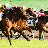 マッキーの穴馬厳選！！