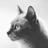 ヘルシーボディライフ  KEIKO